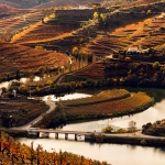 Localidades …ao longo do Douro