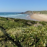 Praia da Amoreira